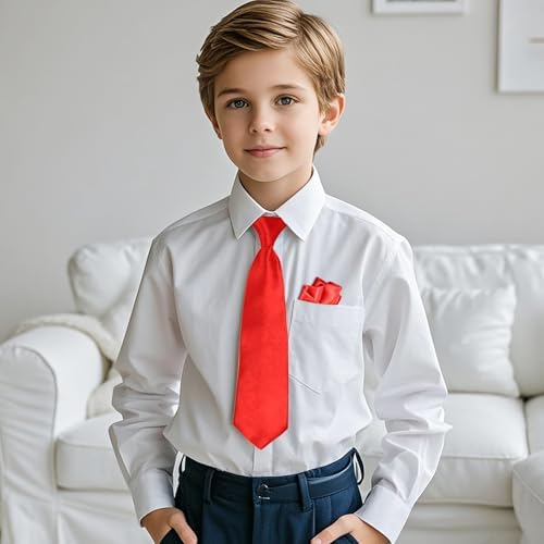 Pistha Boys Tie Pocket Square Set