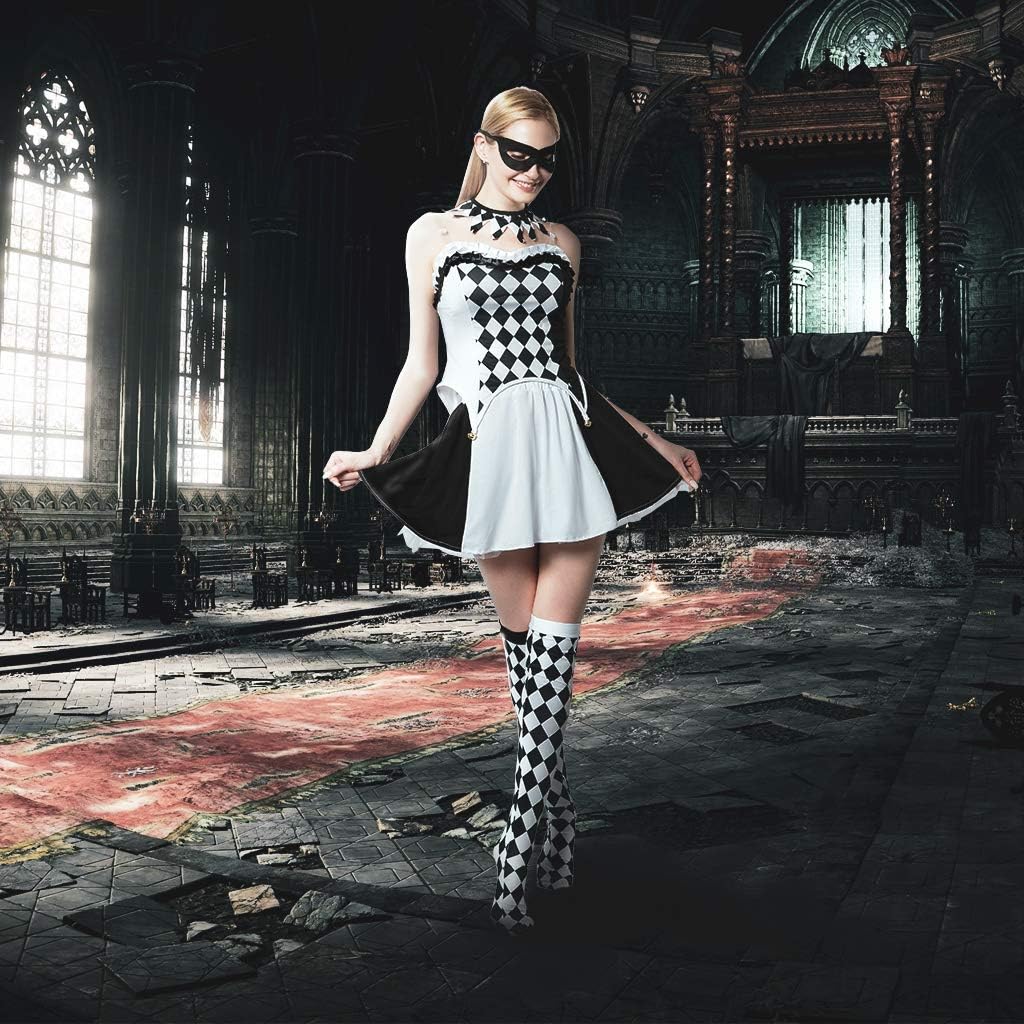 ReneeCho Hexy Harlequin Costume SexXY Cl Corrective Measures
